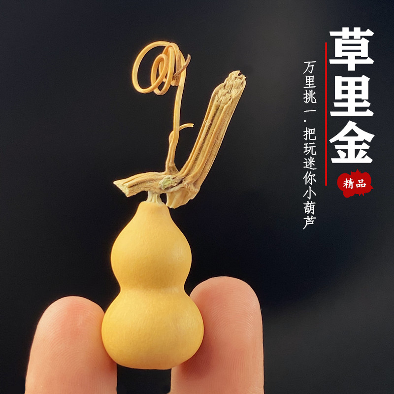 Vintage Collectible Furniture - Natural Pear Shape Mini Dried Gourd