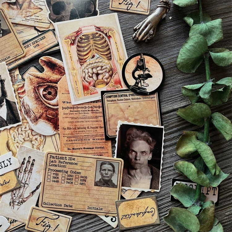 DIY Scrapbooking Vintage Doll  - огляд і ціна Vintage Toy Collector