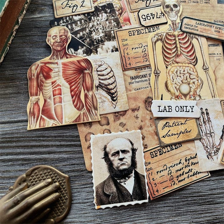 DIY Scrapbooking Vintage Doll  - огляд і ціна Vintage Toy Collector